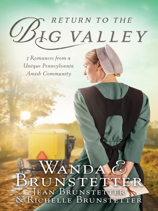 Title details for Return to the Big Valley by Wanda E. Brunstetter - Wait list